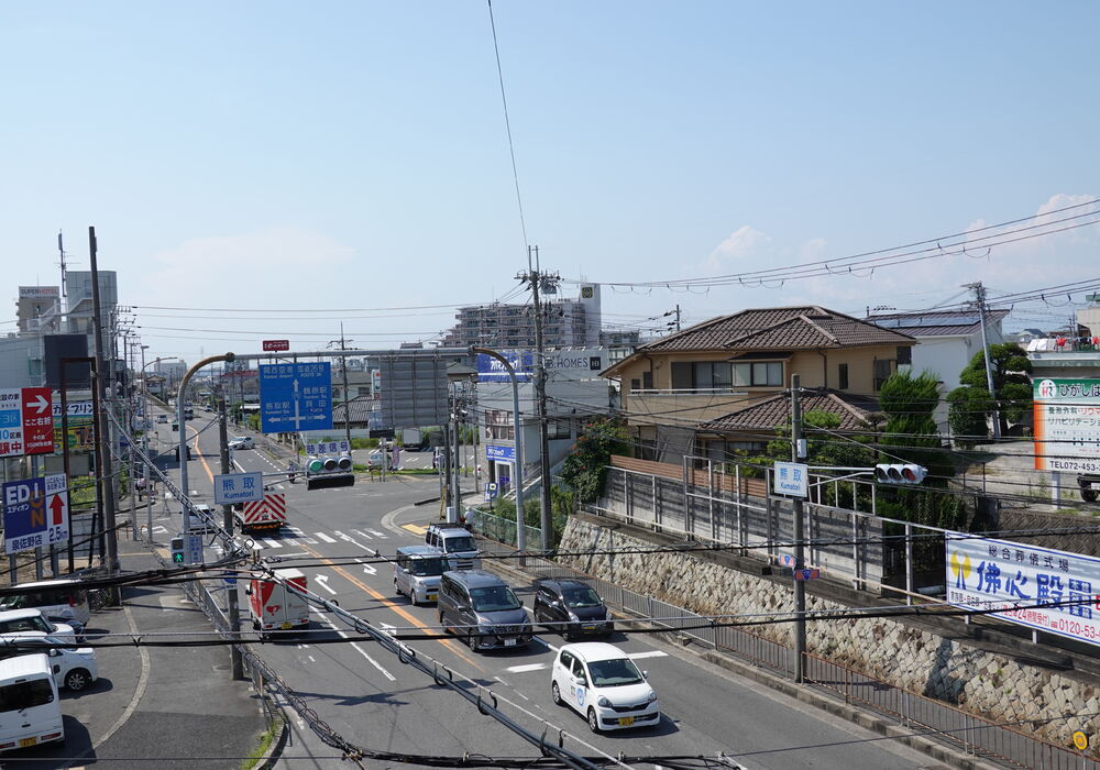 DSC01955