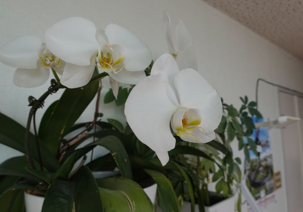 DSC01957
