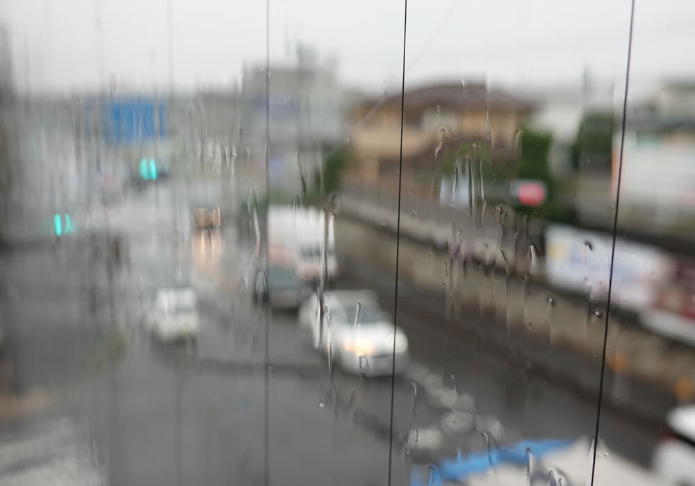 DSC02039