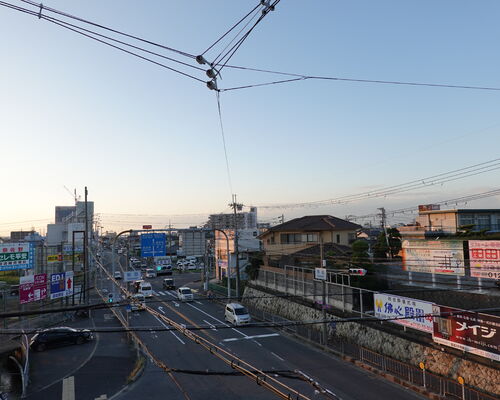 DSC01249