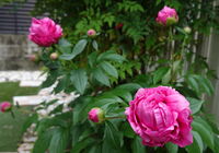 DSC01869