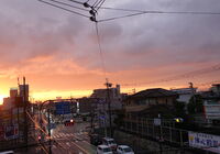 DSC01875