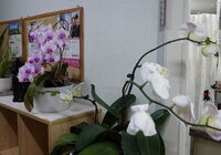 DSC01877